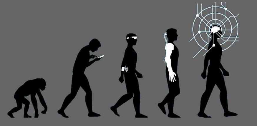 Human Evolution